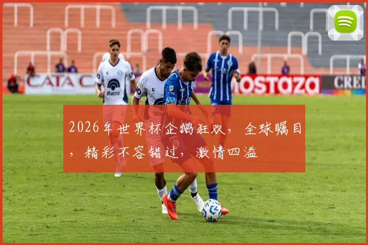2026年世界杯企鹅狂欢，全球瞩目，精彩不容错过，激情四溢