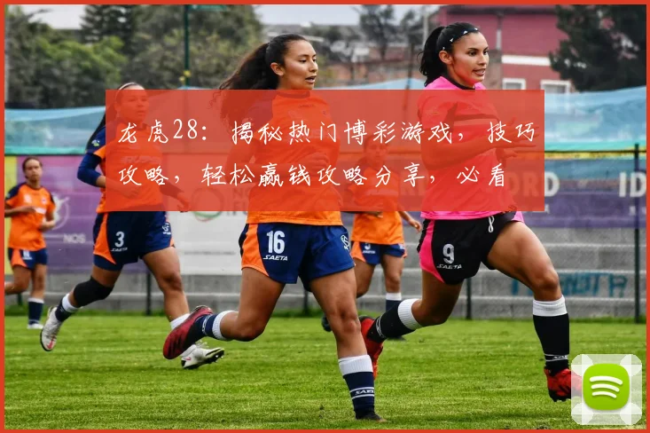 龙虎28：揭秘热门博彩游戏，技巧攻略，轻松赢钱攻略分享，必看