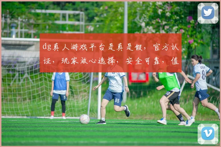 dg真人游戏平台是真是假，官方认证，玩家放心选择，安全可靠，值得信赖